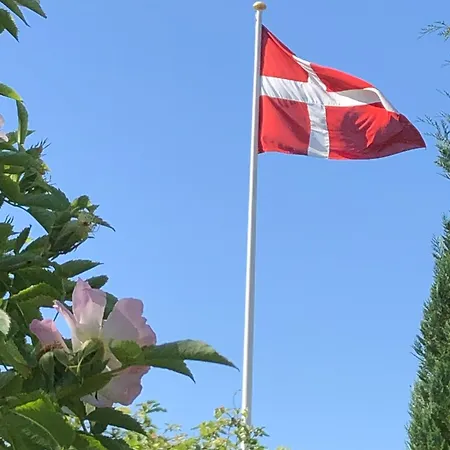 公寓 Vejlo Skole - Degnegaarden Næstved